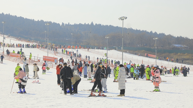 游客在賈汪體驗室外滑雪運動。 賈汪區委宣傳部供圖