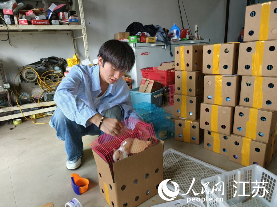 魏元佳正在包装当日宠物兔运输订单。人民网记者 张瀚天摄