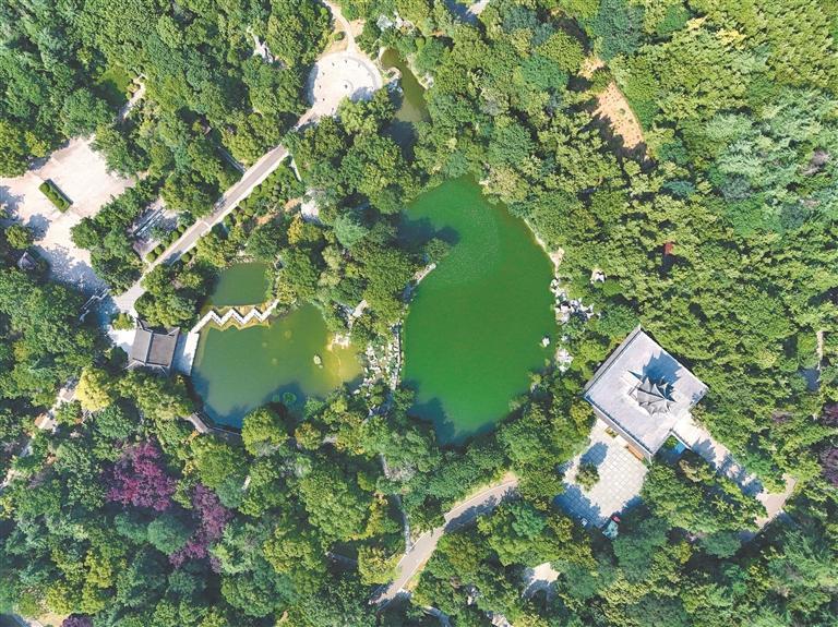 绿意满城 徐州无名山公园风景如画
